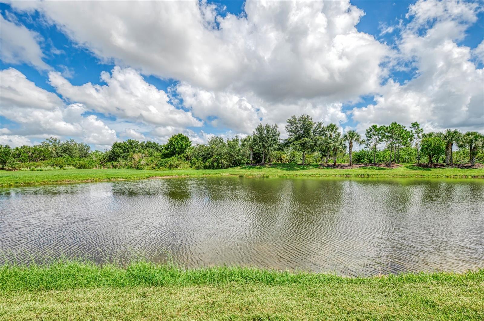 10908 Bullrush Dr Property Photo 74
