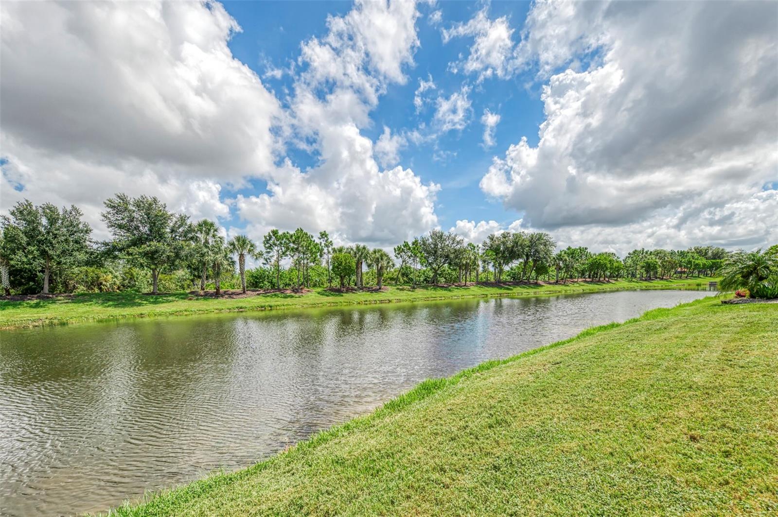10908 Bullrush Dr Property Photo 75
