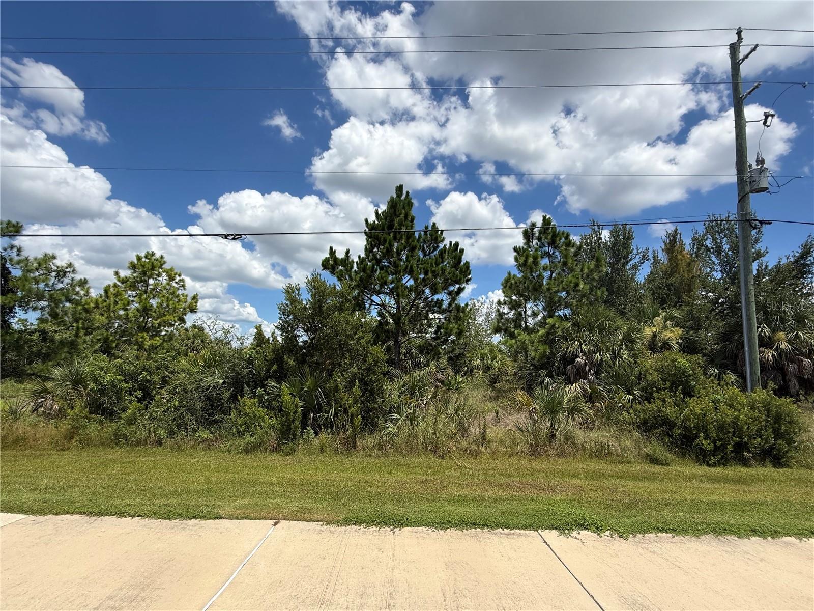 15426 APPLETON BLVD Property Photo 1