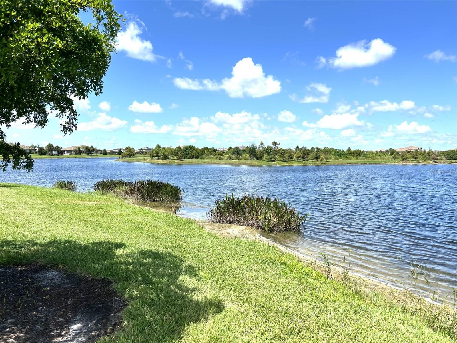 15008 Misty Water Xing Property Photo 64