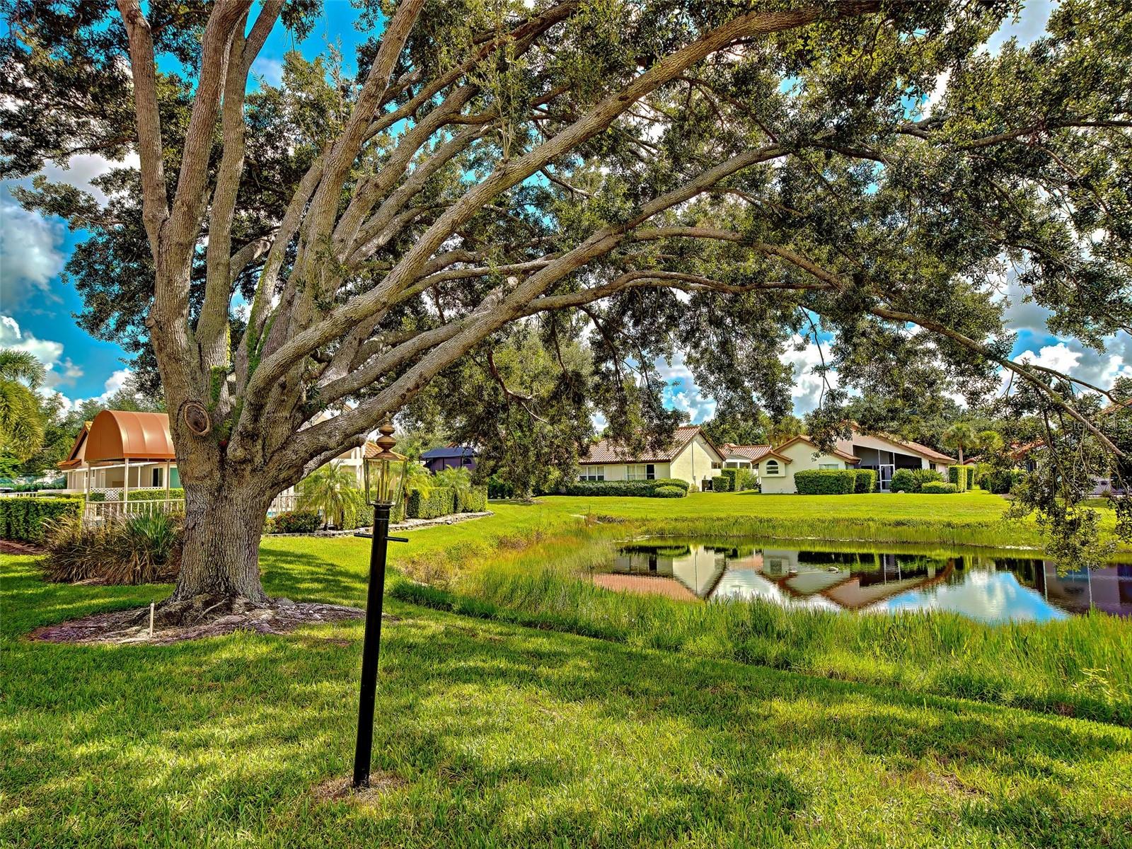 1176 Harbor Town Way Property Photo 42