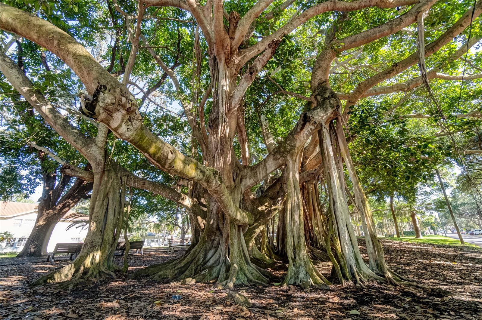 460 Base Ave E #128 Property Photo 62