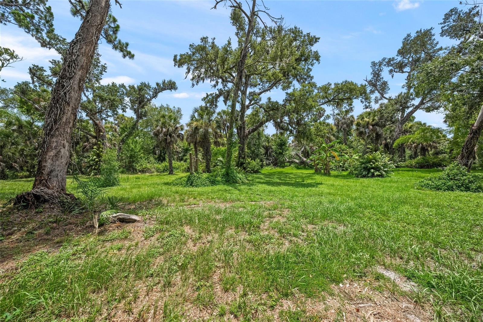 Twin Lakes Ave #b1 Property Photo 12