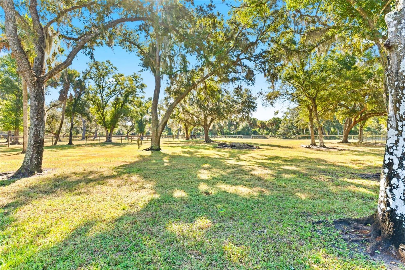 N6145462 Property Photo 7