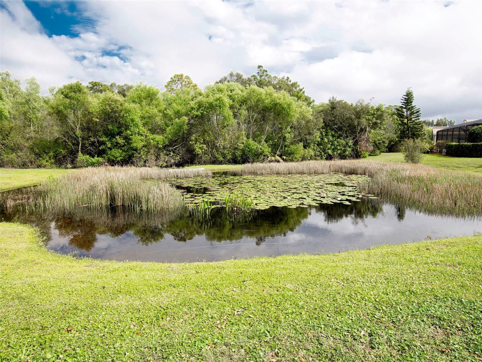4433 Corso Venetia Blvd #c18 Property Photo 53