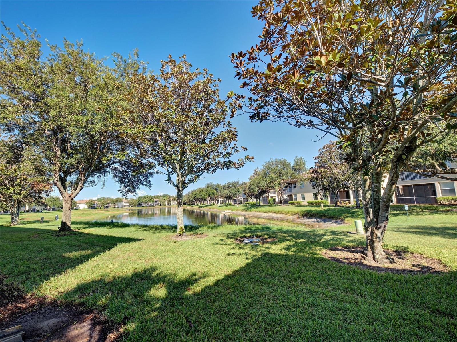 4433 Corso Venetia Blvd #c18 Property Photo 60