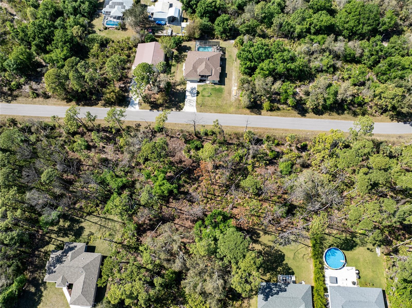 48 Saluda Ter Property Photo 10
