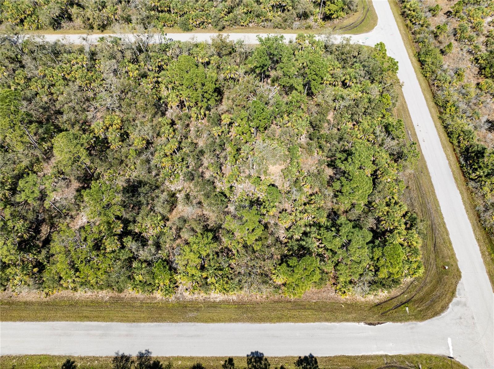 14250 Hydrangea Ave Property Photo 5
