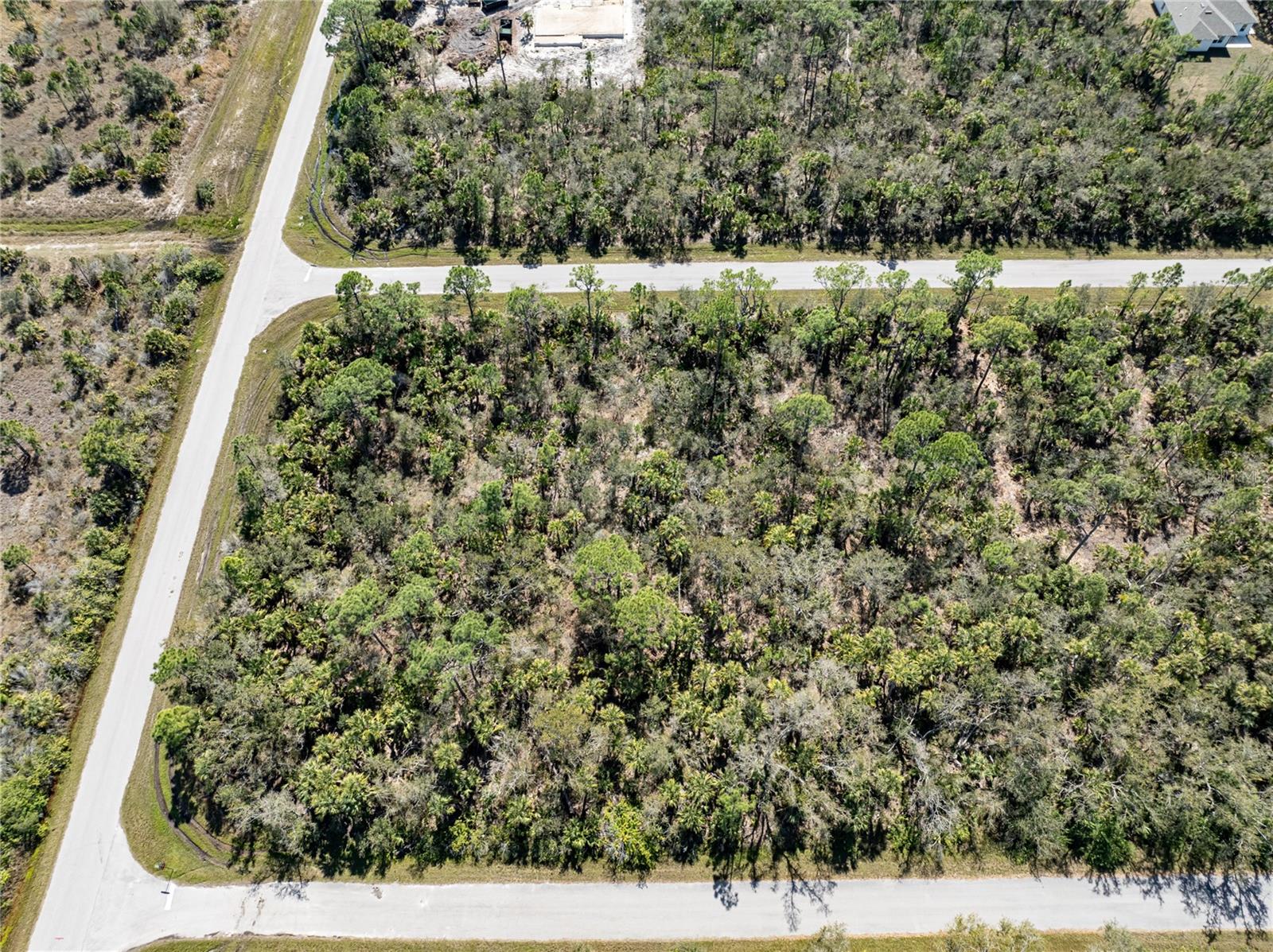 14250 Hydrangea Ave Property Photo 8