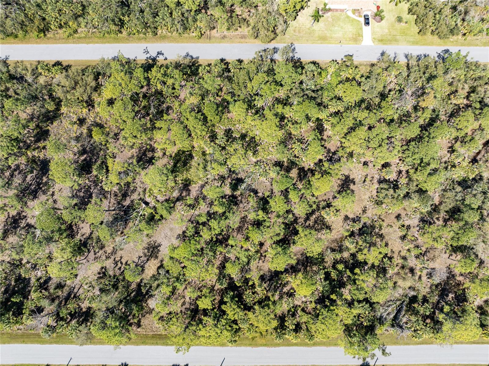 1431 Rambler Ter Property Photo 9