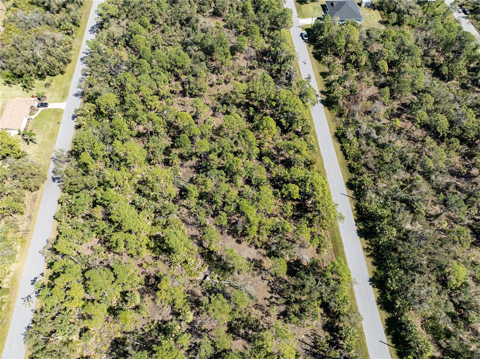 1431 Rambler Ter Property Photo 12
