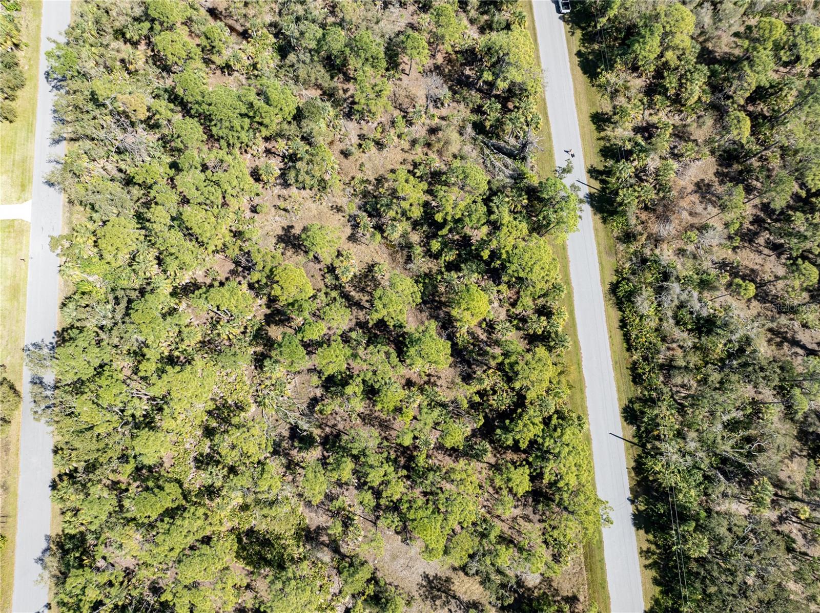 1431 Rambler Ter Property Photo 13
