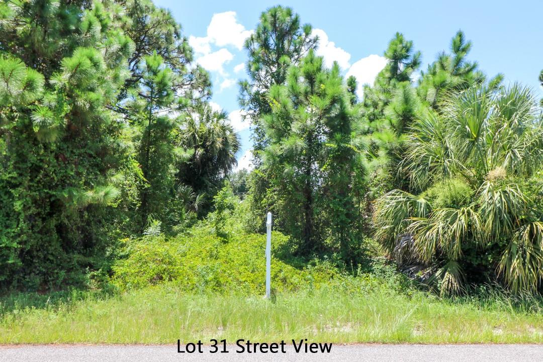 Lot 31 Venetia Ave Property Photo 12