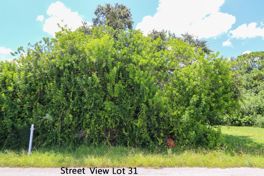 Lot 31 Venetia Ave Property Photo 15