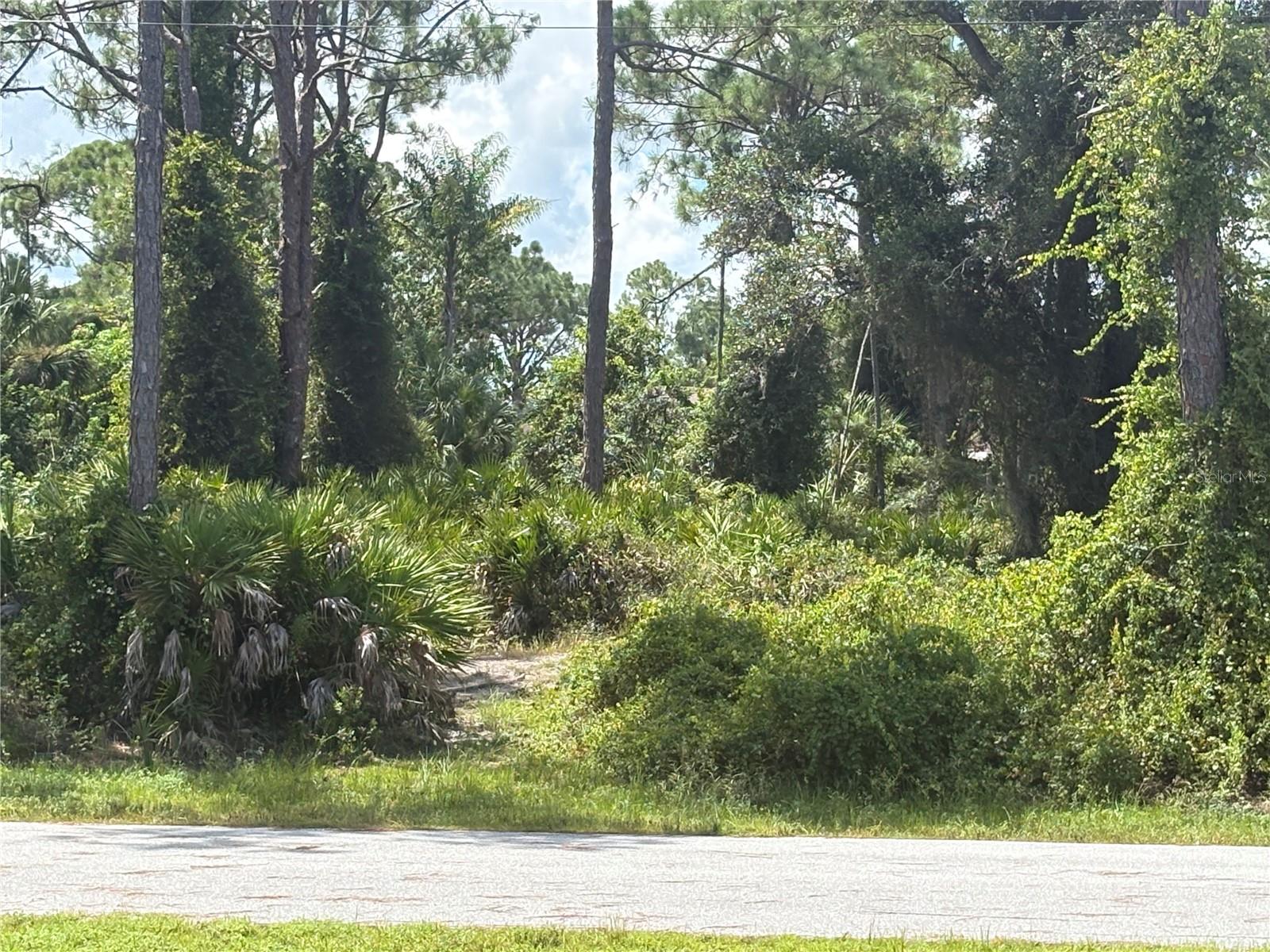 RENAULT CIR N Property Photo 1