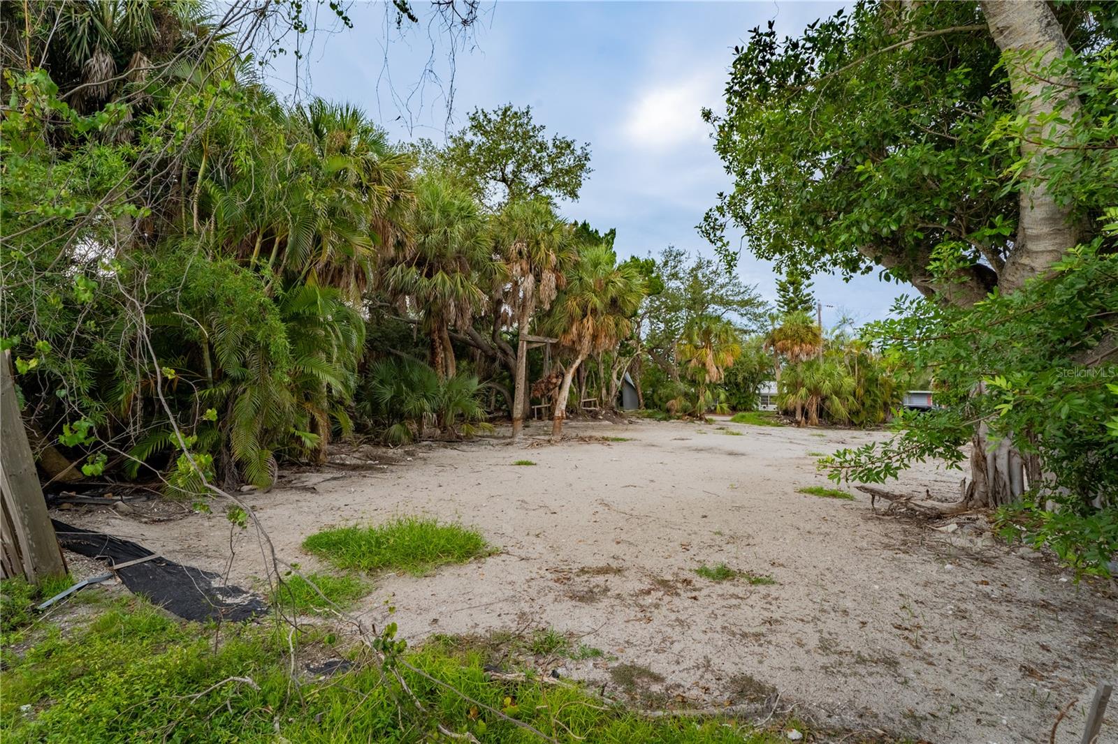 5323 Calle Florida Property Photo 1