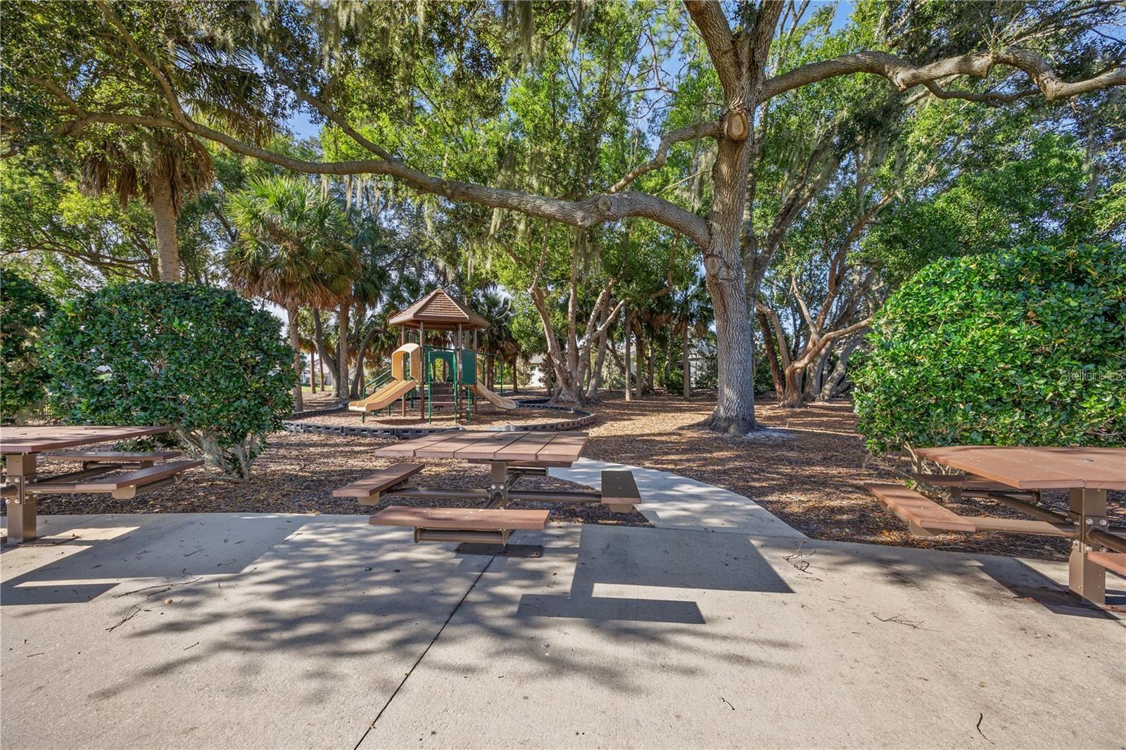 12913 Utopia Loop Property Photo 29