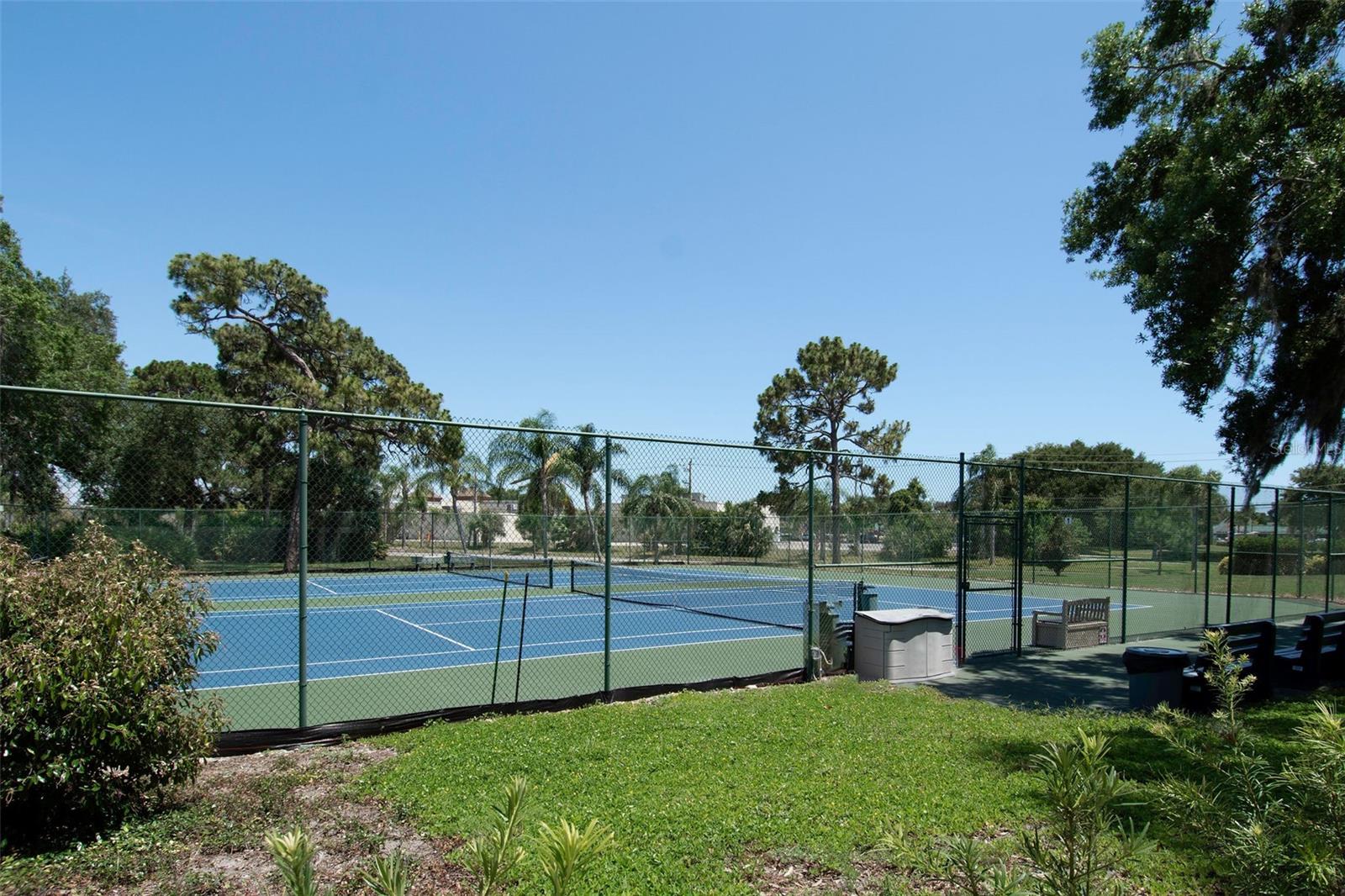1036 Bird Bay Way #281 Property Photo 46