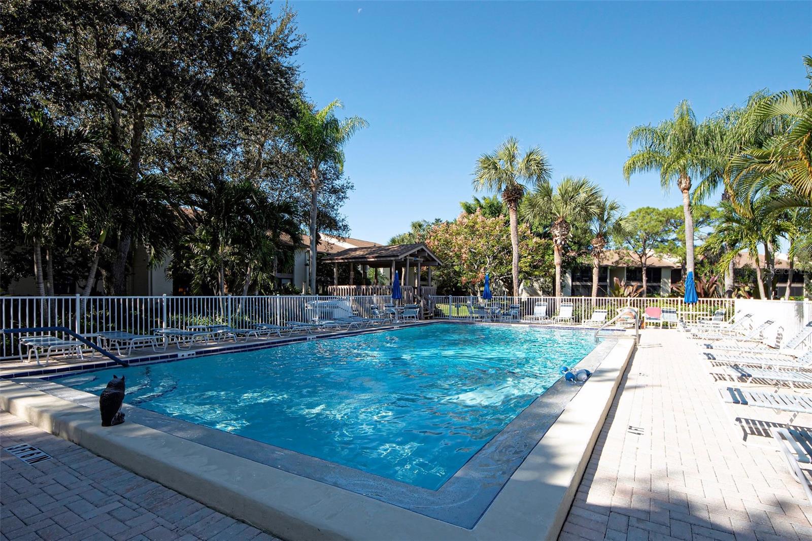 1036 Bird Bay Way #281 Property Photo 53