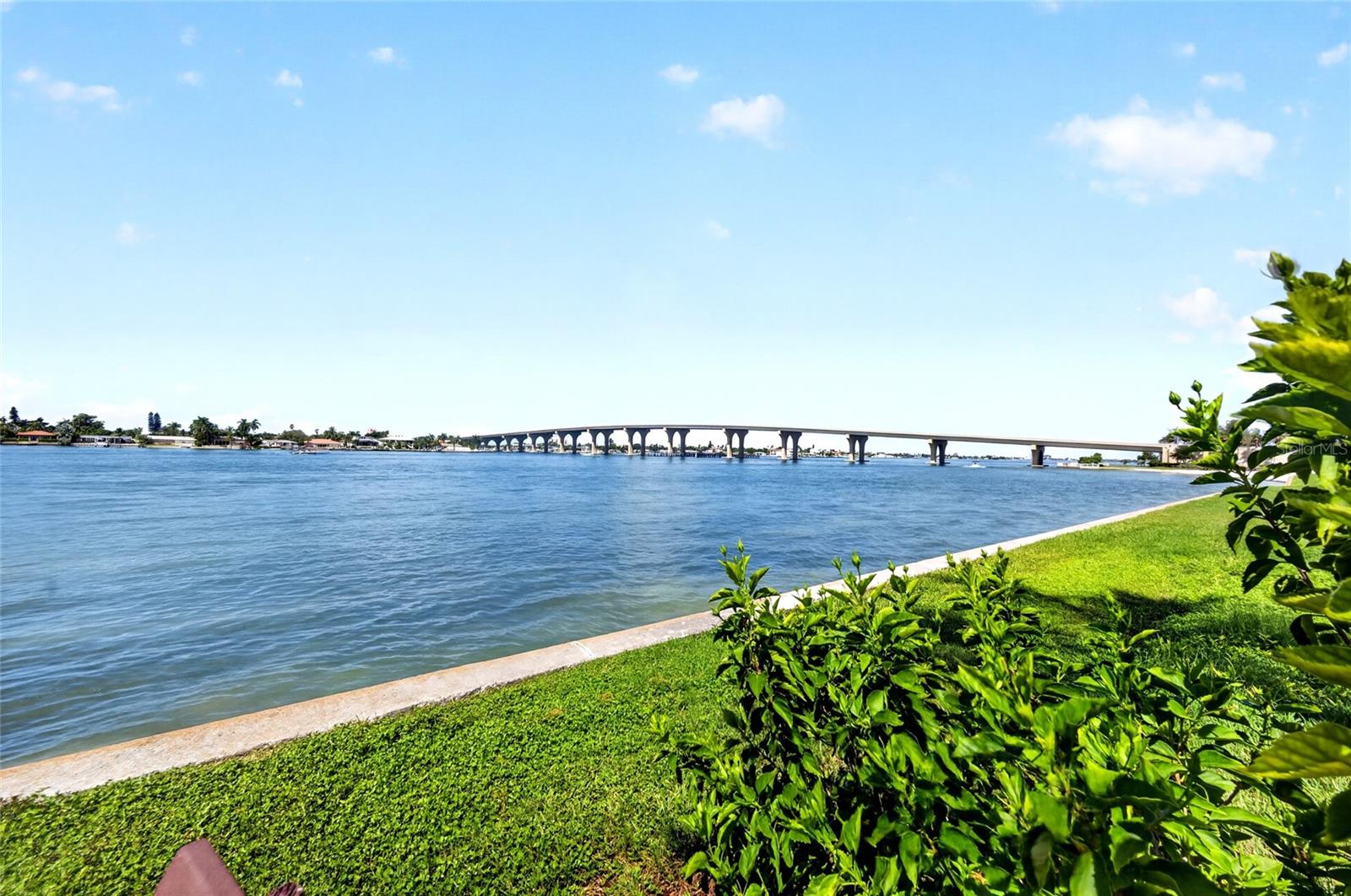 6021 Bahia Del Mar Cir #137 Property Photo 30