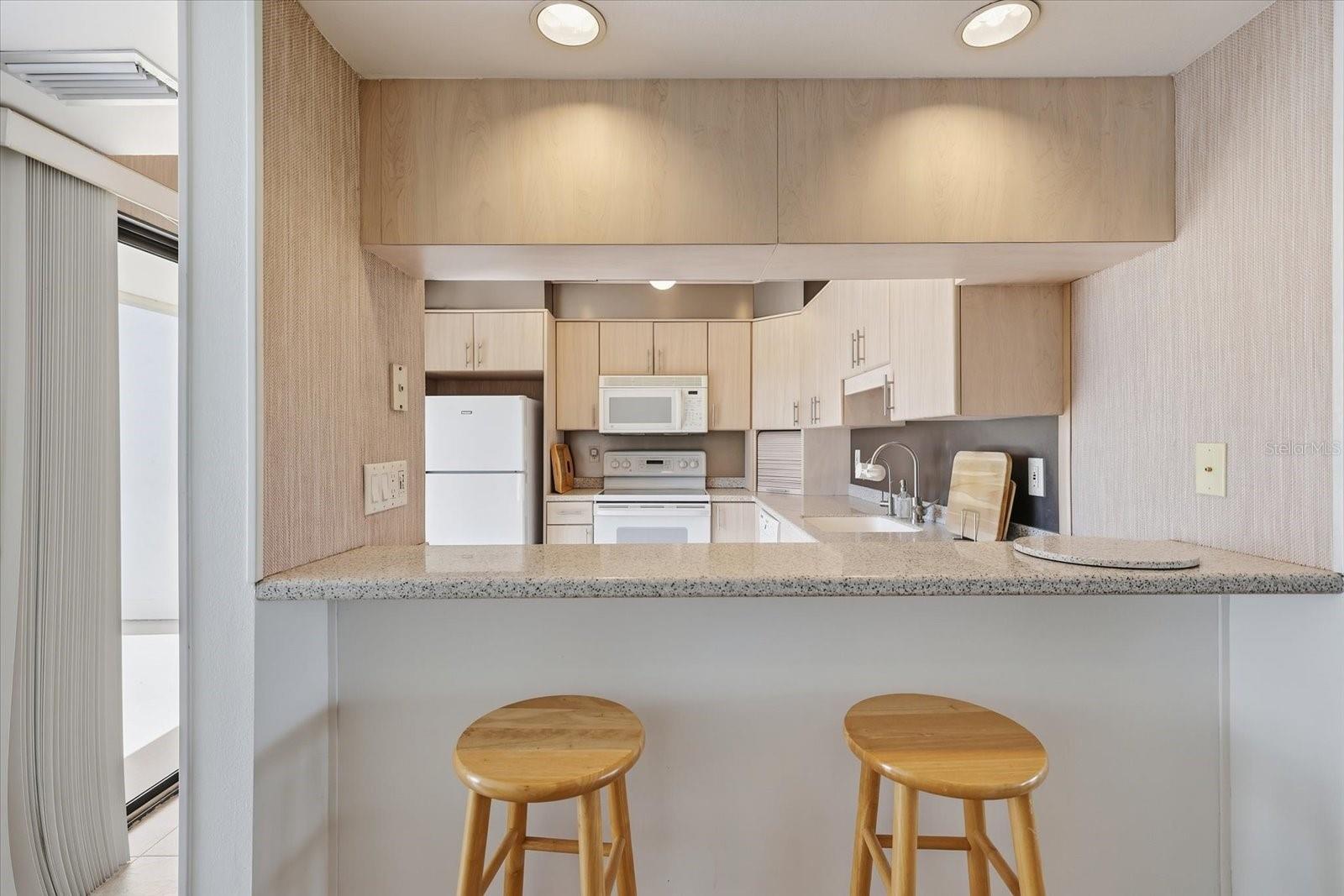 1082 Bird Bay Way #304 Property Photo 8