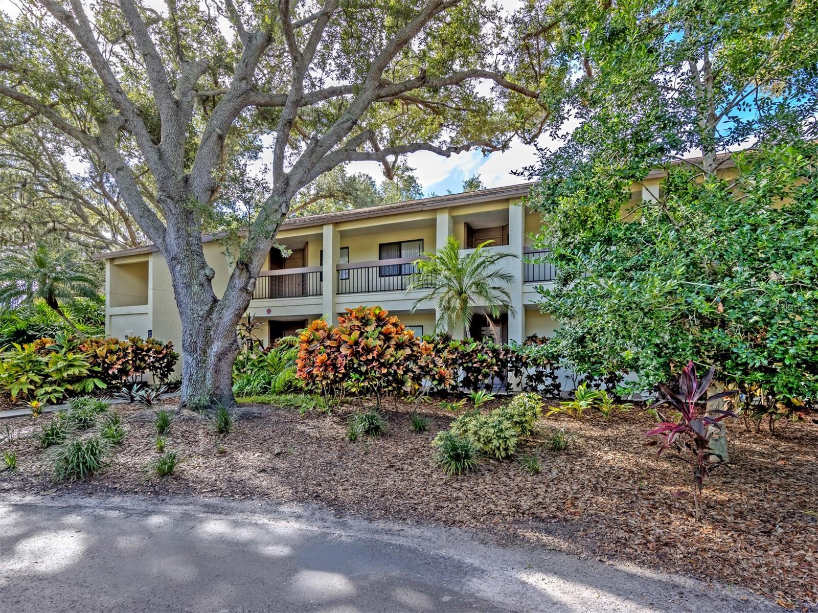 772 Bird Bay Dr N #202 Property Photo 1