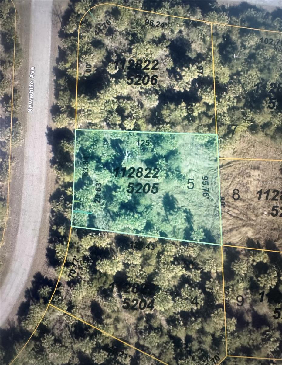 Newwhite Ave Property Photo 4