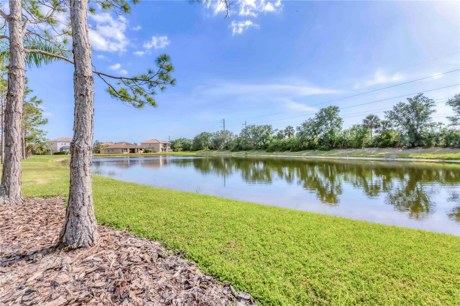 11504 Dancing River Dr Property Photo 5