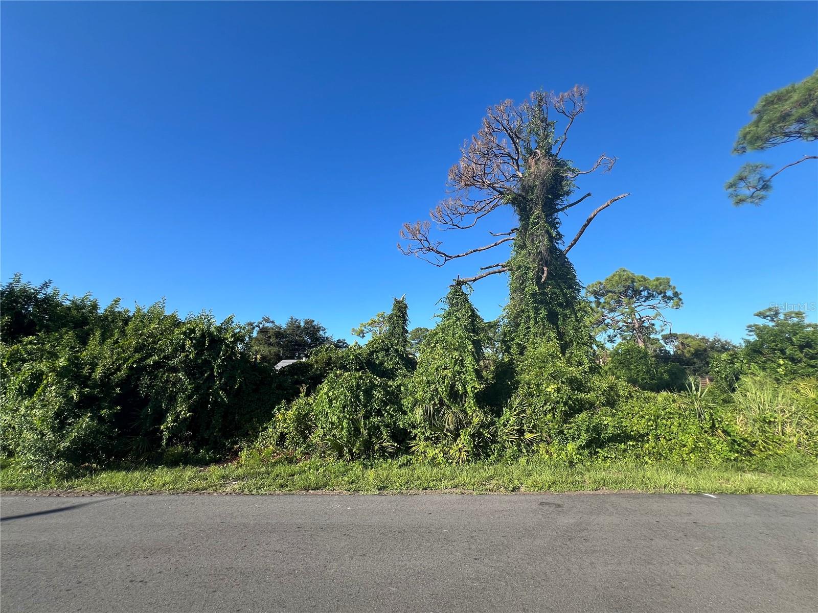 Euclid Rd Property Photo 4