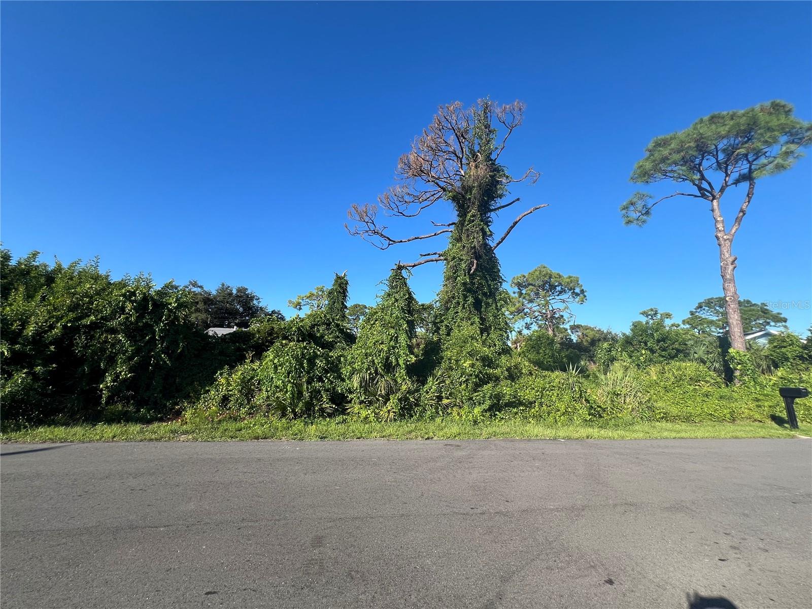 Euclid Rd Property Photo 18