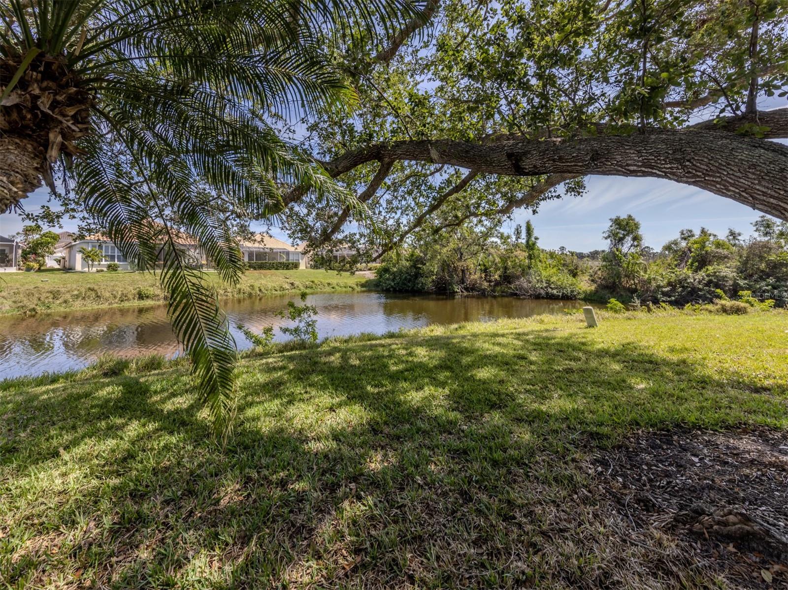 268 Southampton Dr #309 Property Photo 6