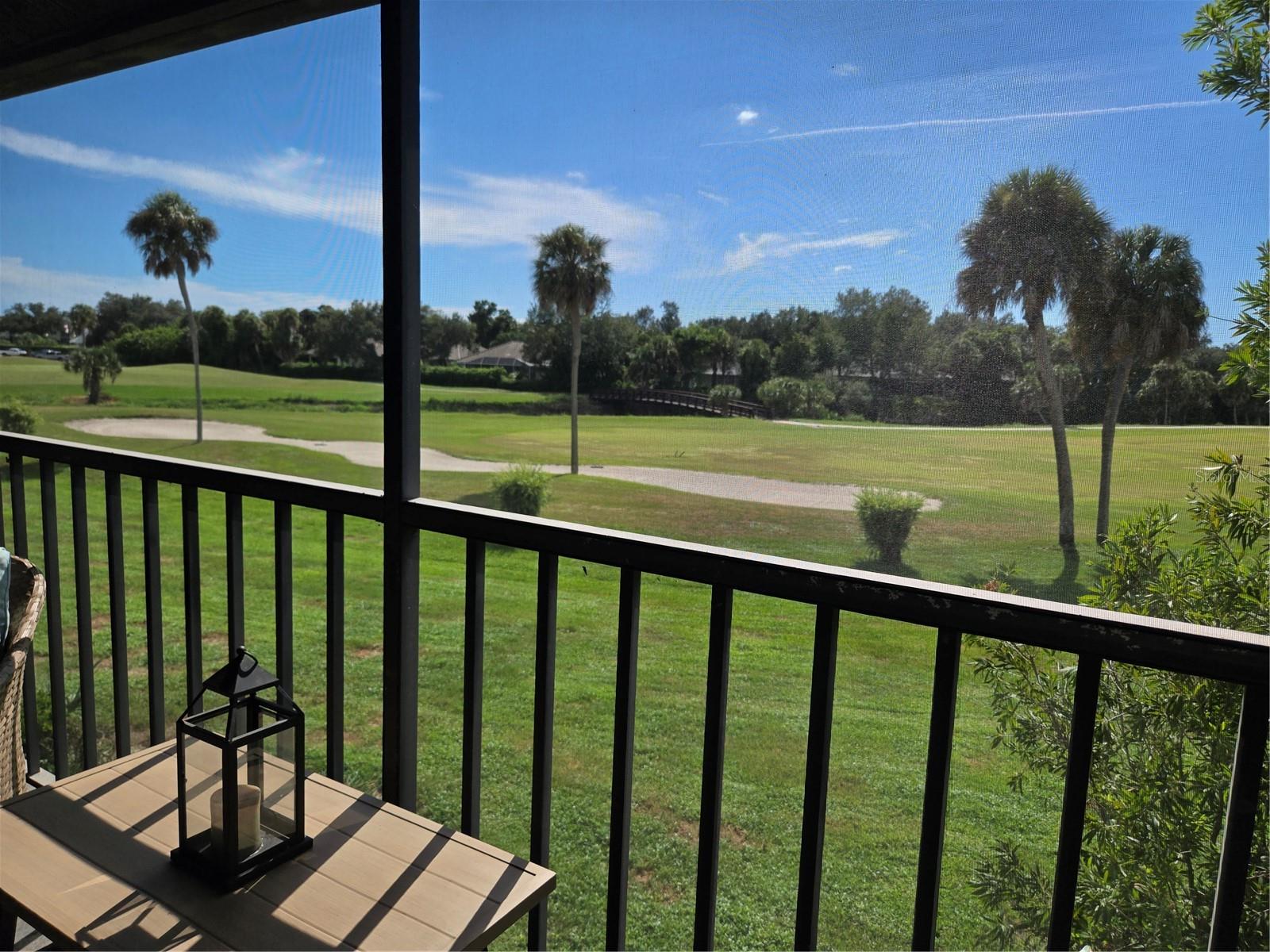 927 Capri Isles Blvd #10 Property Photo 34