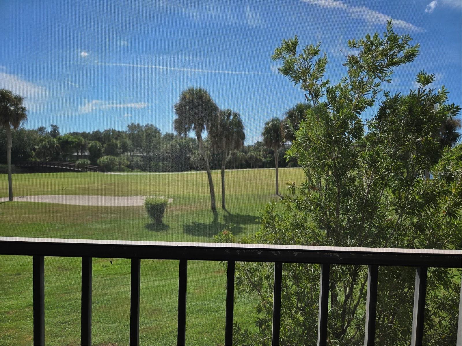 927 Capri Isles Blvd #10 Property Photo 35