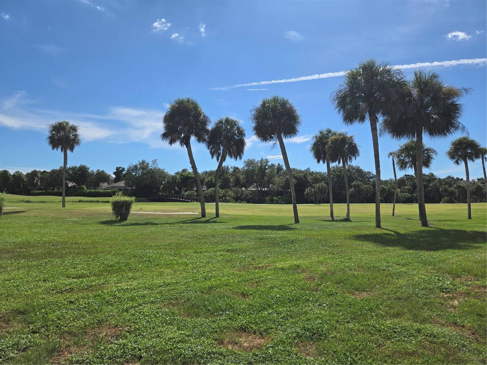 927 Capri Isles Blvd #10 Property Photo 39
