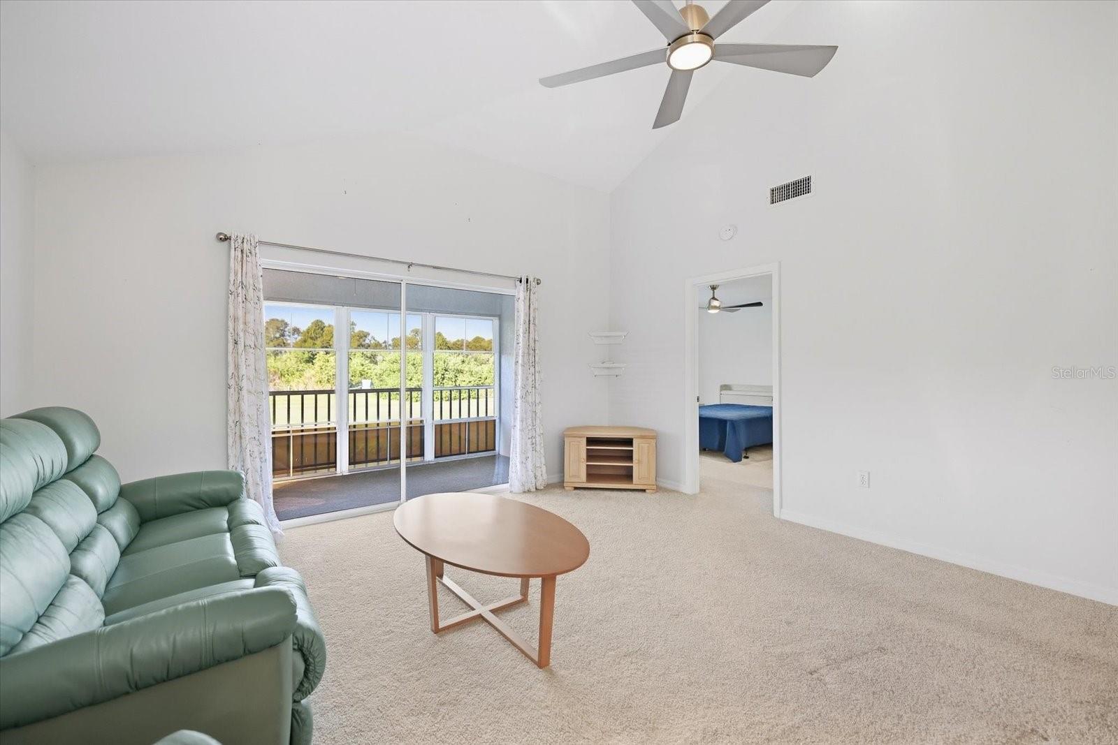 1041 Capri Isles Blvd #216 Property Photo 17