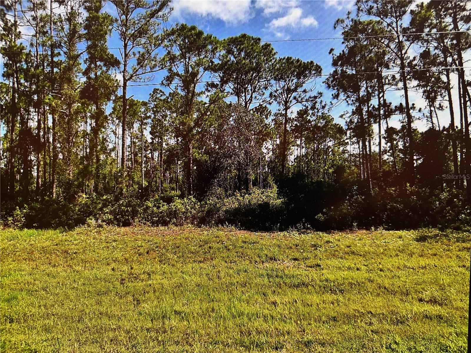 LOT 19 TROPICAIRE BLVD Property Photo 1