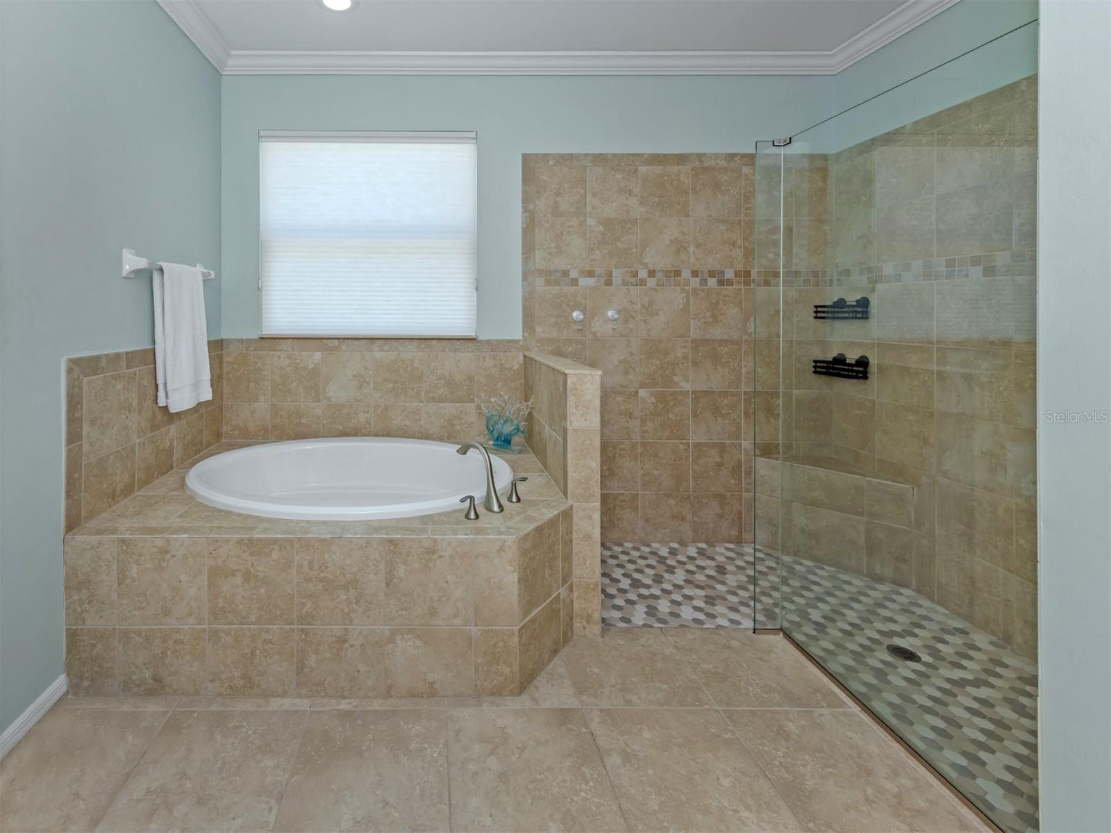 11666 Parrotfish St Property Photo 18