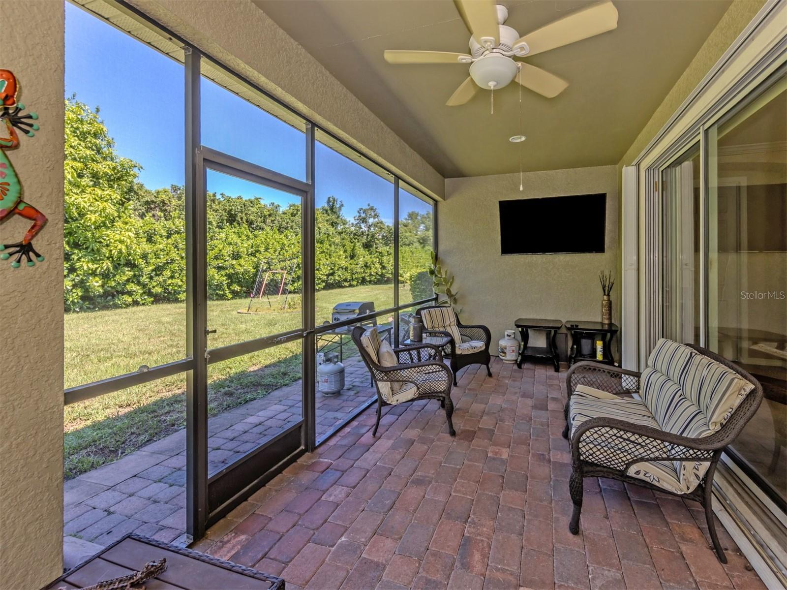 11666 Parrotfish St Property Photo 26