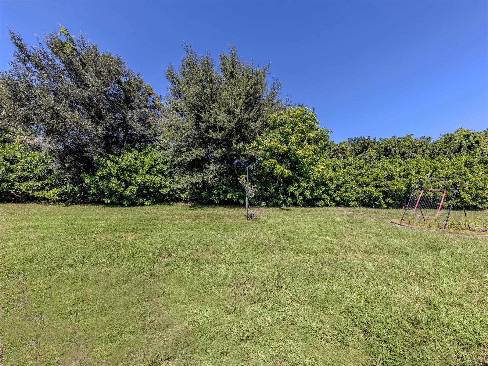 11666 Parrotfish St Property Photo 28