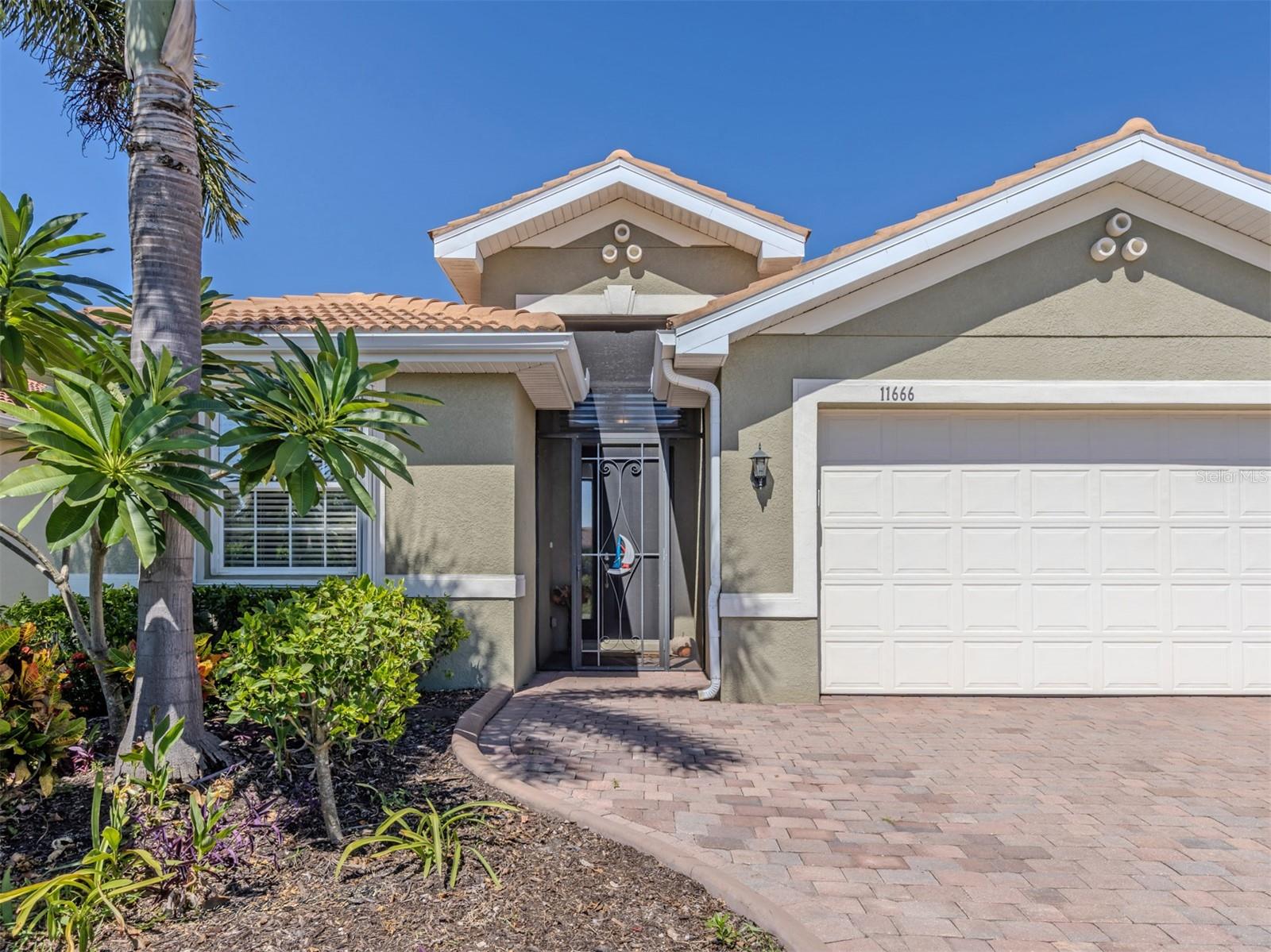 11666 Parrotfish St Property Photo 29