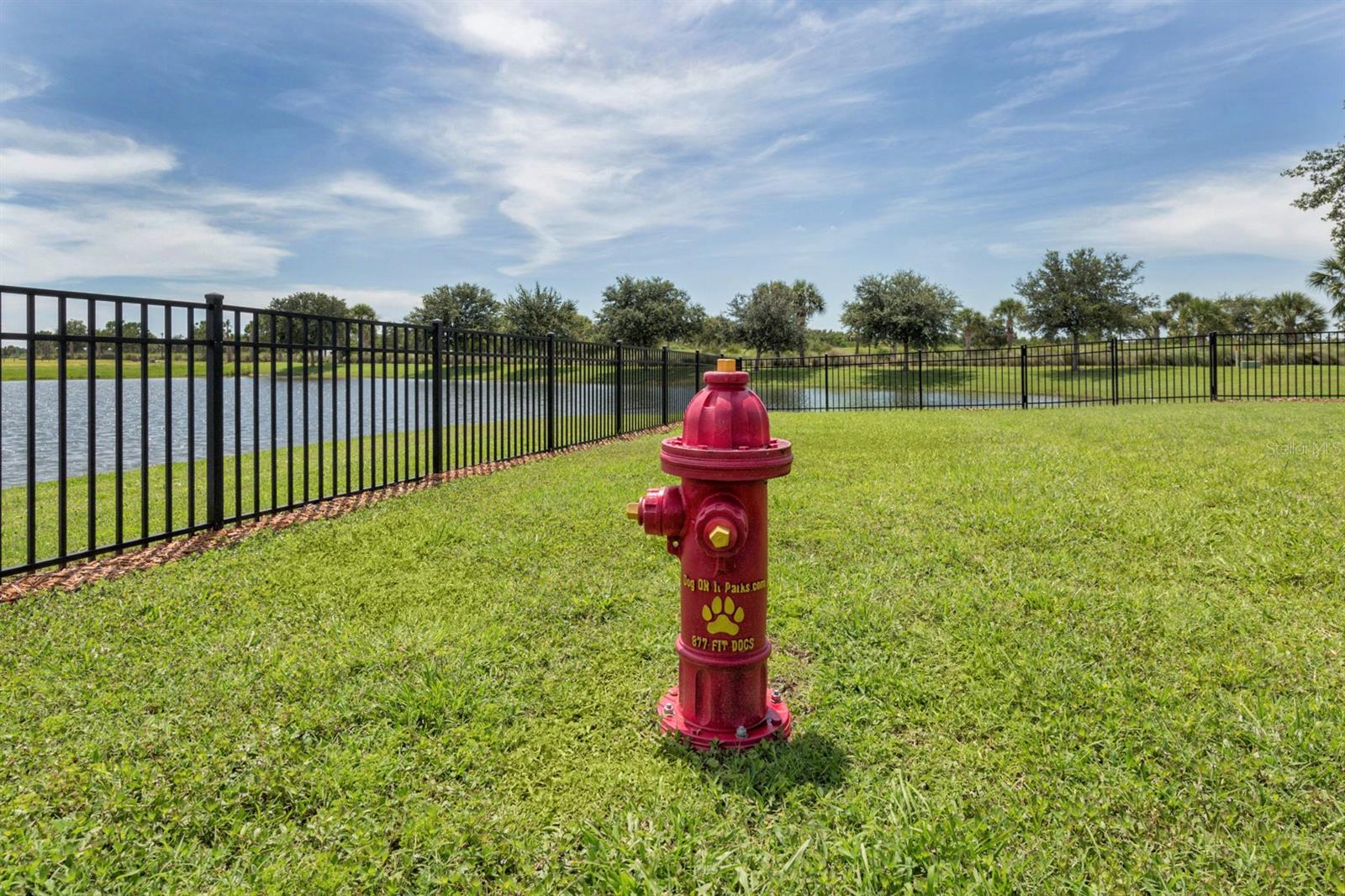10422 Medjool Dr Property Photo 55