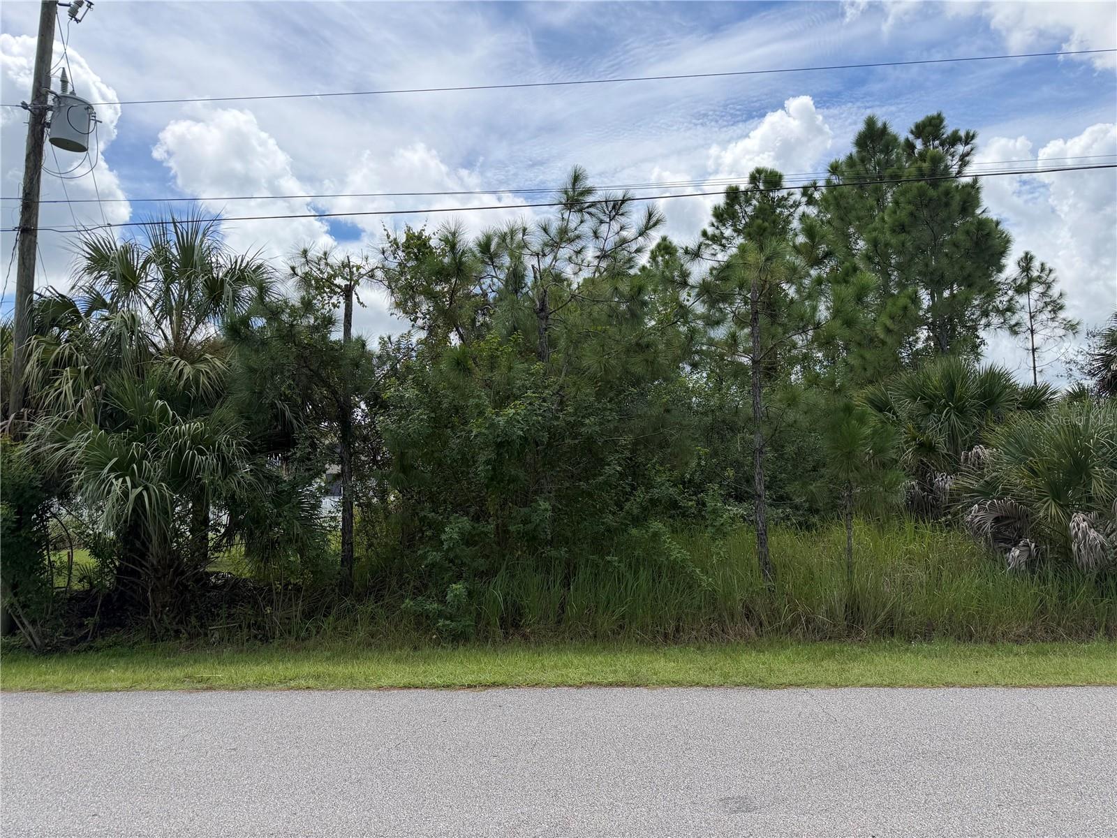 GUTTENBURG RD Property Photo 1
