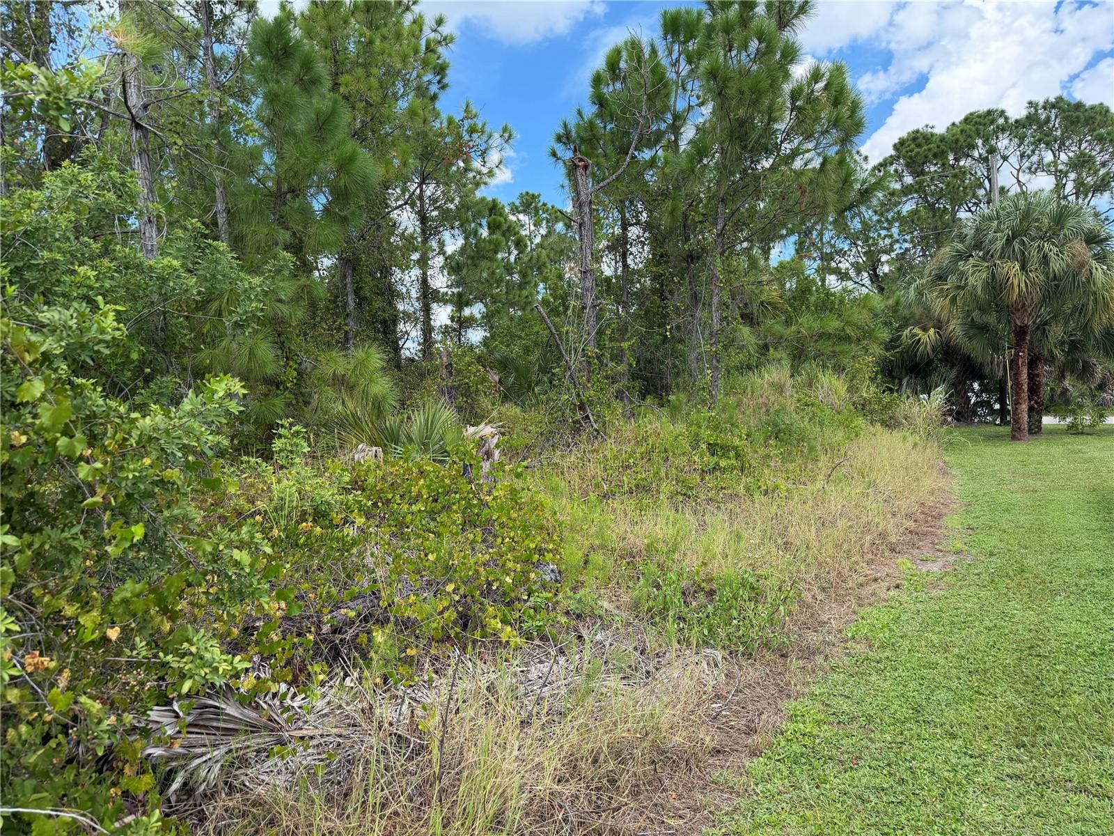 Guttenburg Rd Property Photo 3