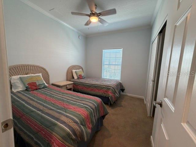 612 Carefree Property Photo 16