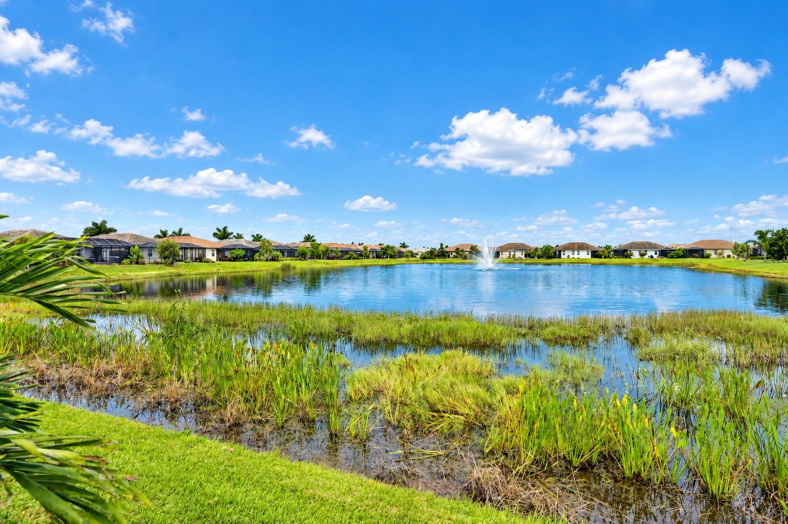 11598 Alessandro Ln Property Photo 43