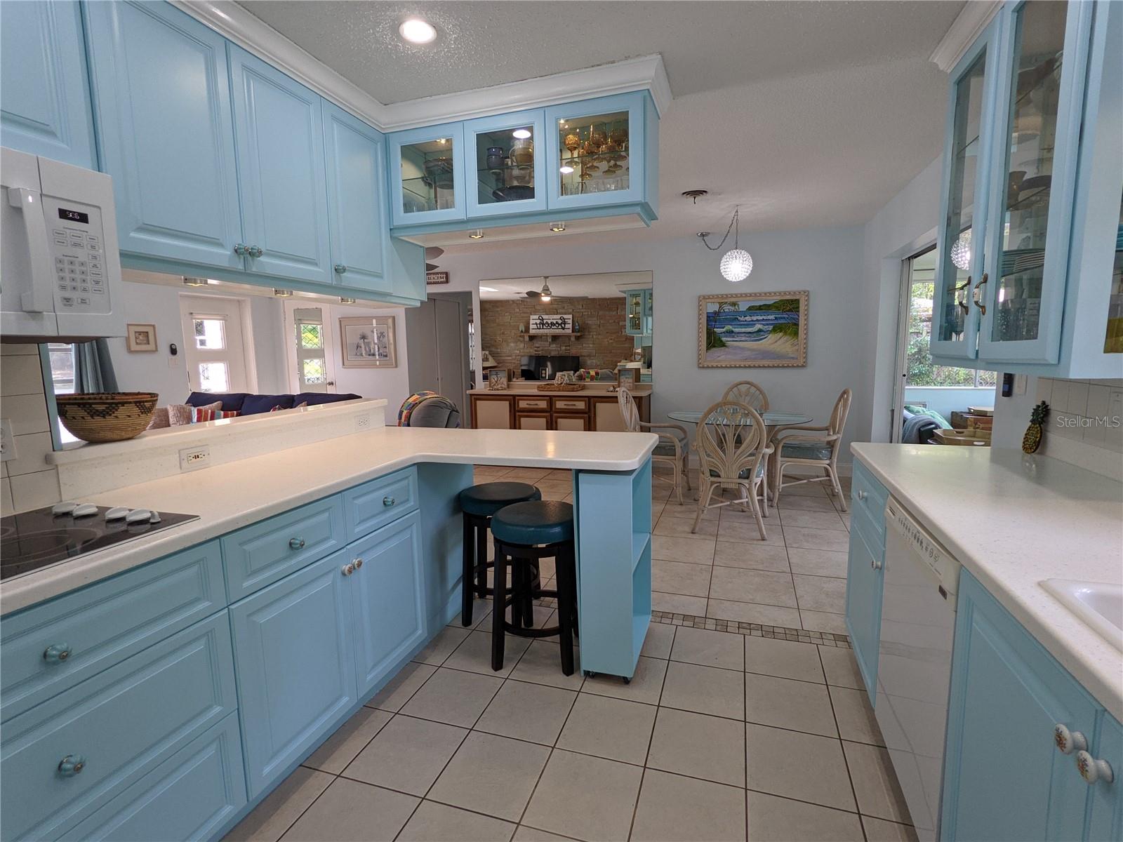 203 Canova Dr Property Photo 48