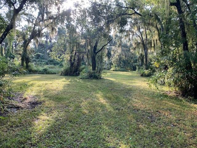 351 Palm Ave Property Photo 4