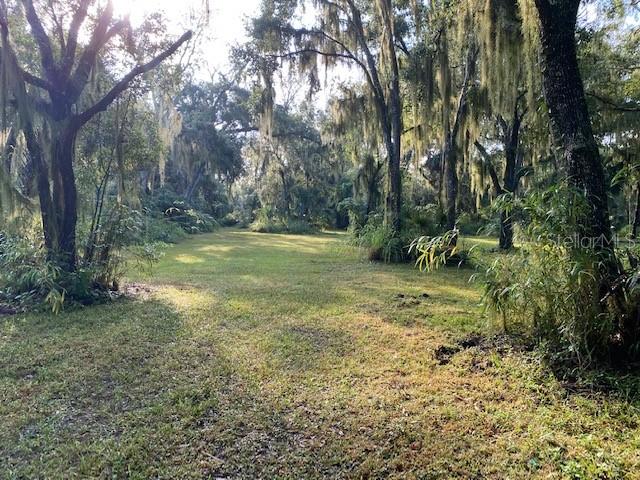 351 Palm Ave Property Photo 5