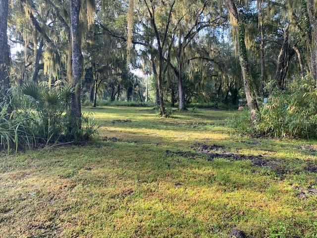 351 Palm Ave Property Photo 6