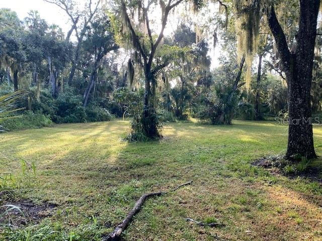 351 Palm Ave Property Photo 7